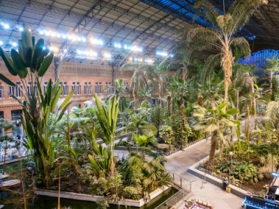 AVE Madrid Atocha jardín AVE Madrid Atocha jardín