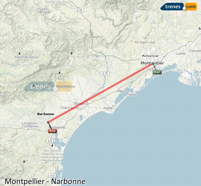 Train Montpellier St-Roch Narbonne (Narbona)